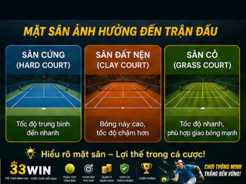 Xem thành tích trên từng mặt sân